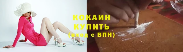СК Балахна