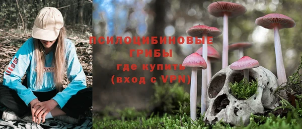 СК Балахна