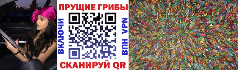 ссылка на мегу вход  Гусев  Галлюциногенные грибы Cubensis  где купить  