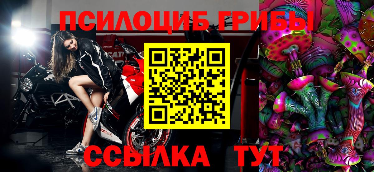 Псилоцибиновые грибы MAGIC MUSHROOMS  Гусев 