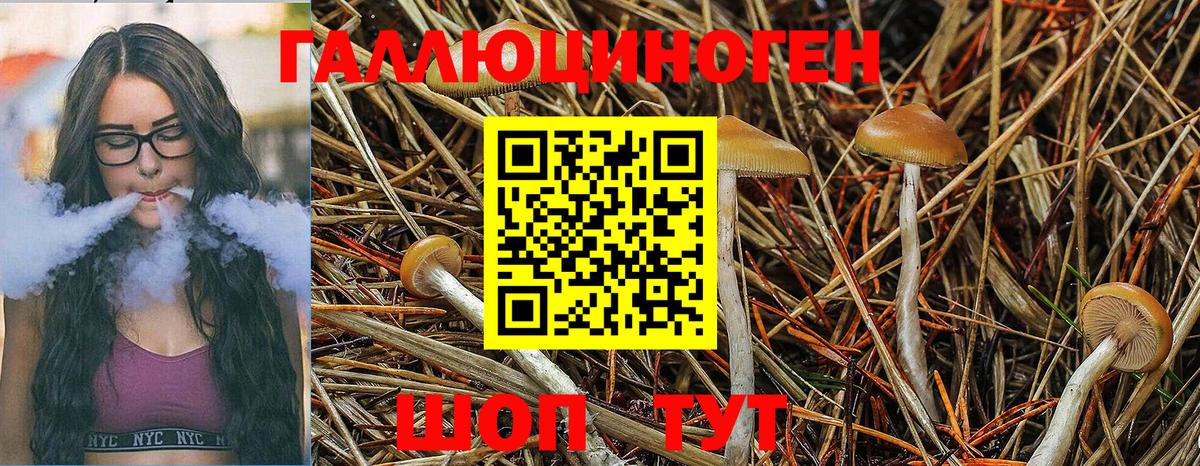 Галлюциногенные грибы прущие грибы Гусев