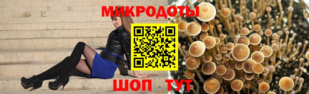 Галлюциногенные грибы Cubensis Гусев